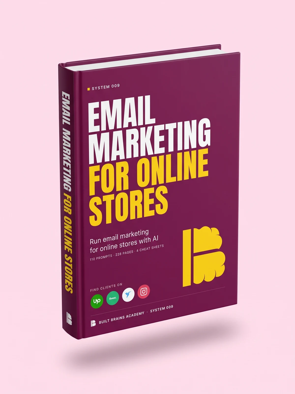 Email Marketing Management for Online Stores — book cover