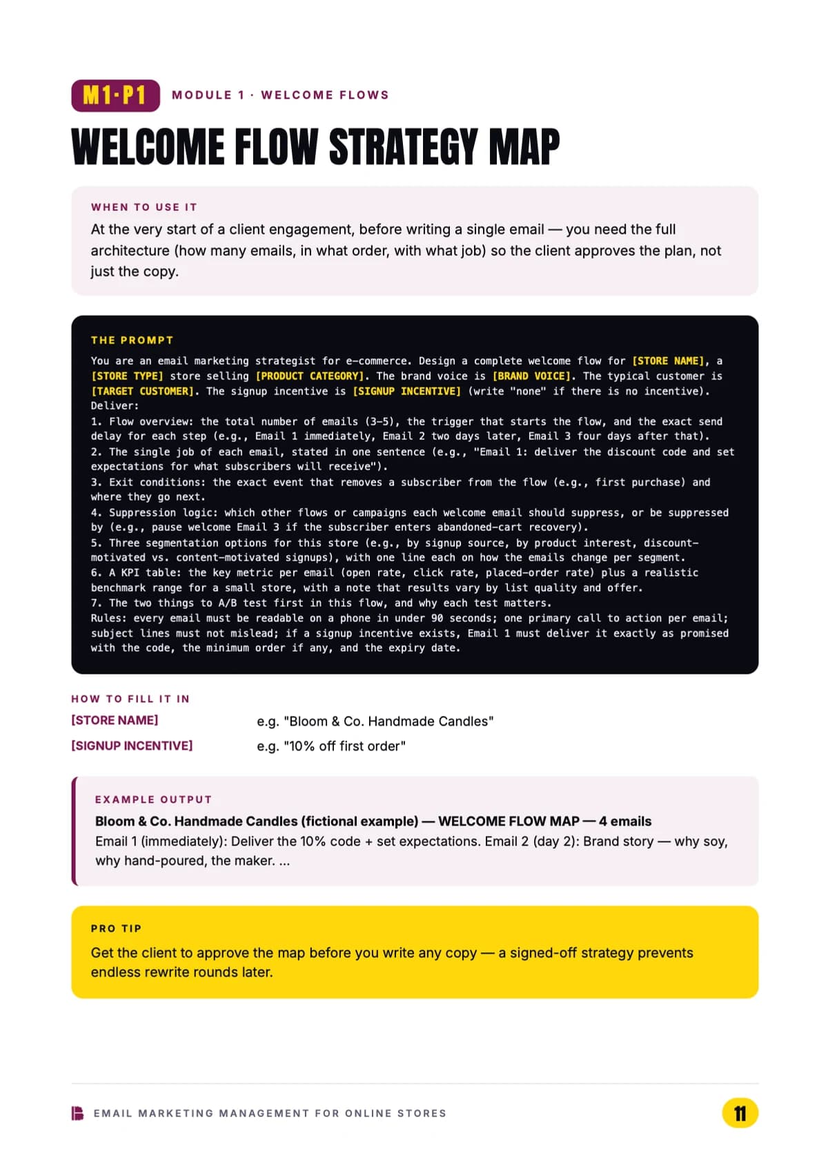 A full prompt — Module 1, Prompt 1